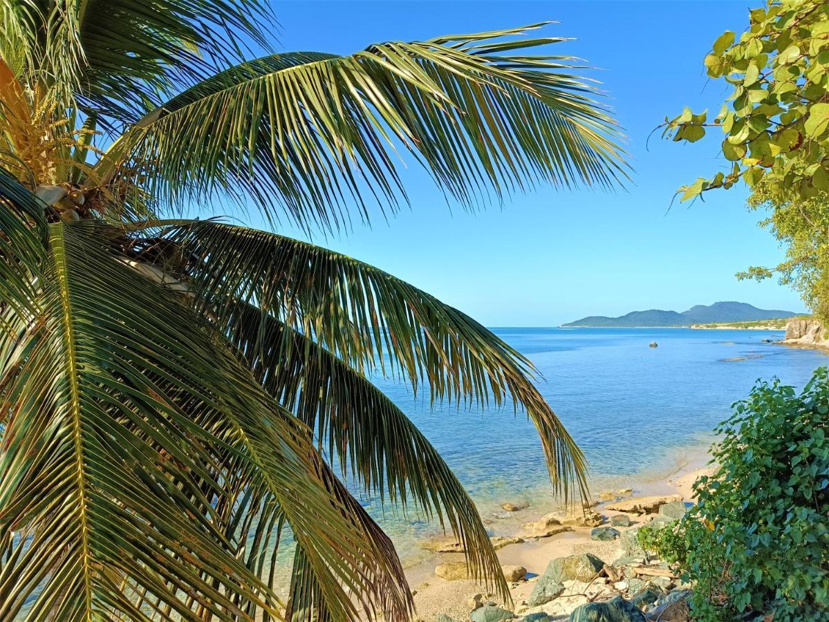 Waterside Inn Vieques Ngoại thất bức ảnh