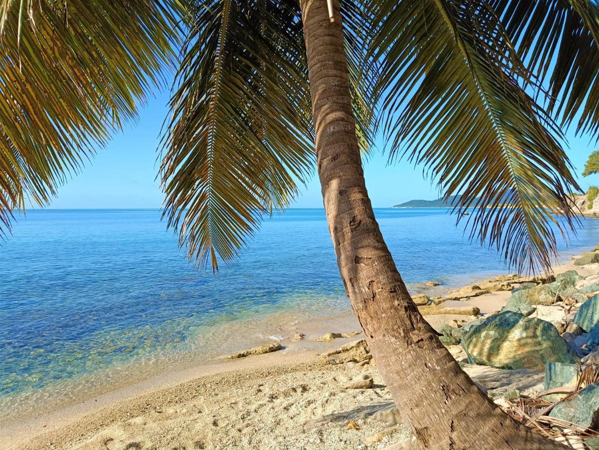 Waterside Inn Vieques Ngoại thất bức ảnh