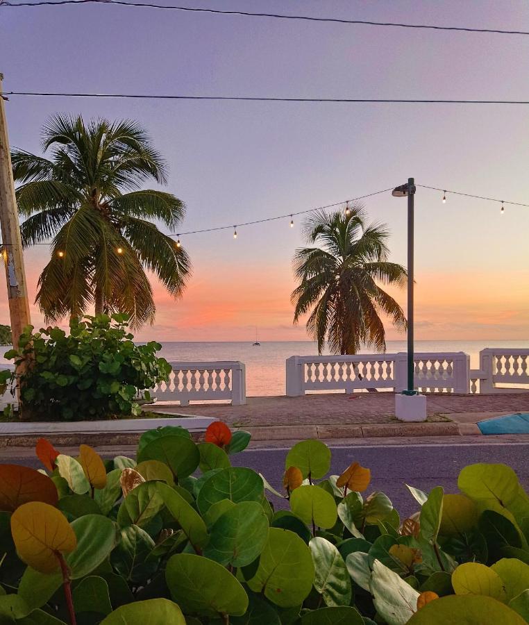 Waterside Inn Vieques Ngoại thất bức ảnh